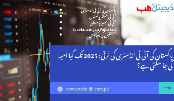 پاکستان کی آئی ٹی انڈسٹری کی ترقی: 2025 تک کیا امید کی جا سکتی ہے؟"